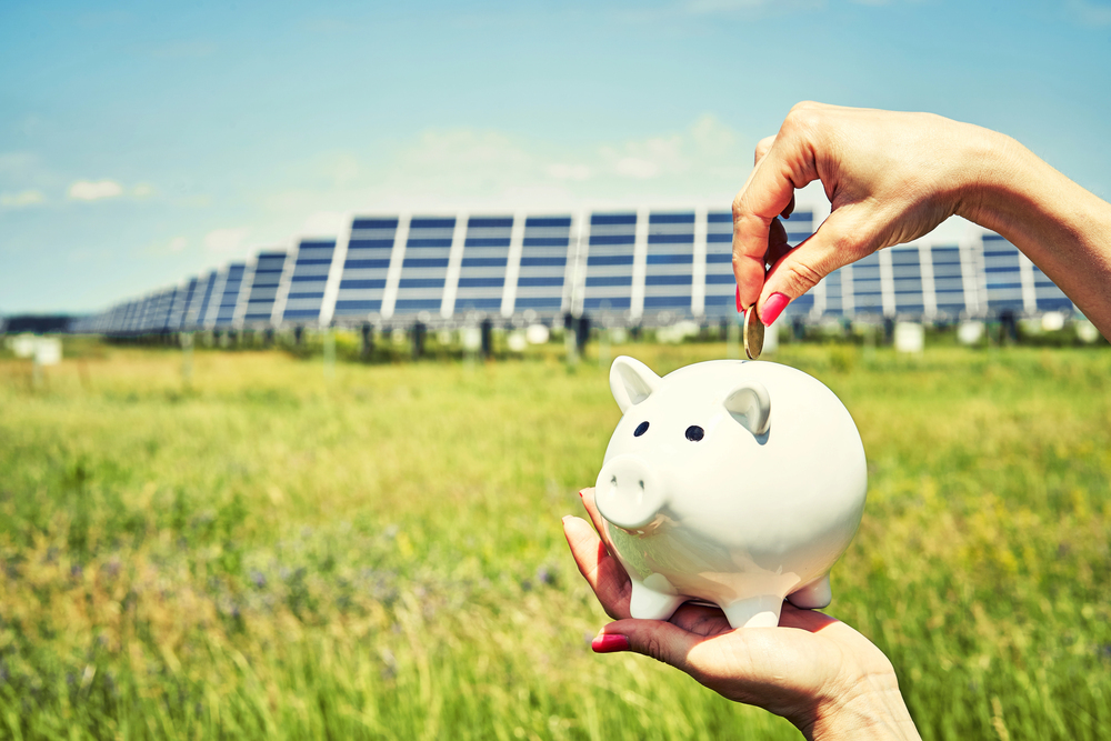 Energy Management vs Solar for Businesses: What Actually Saves More Money